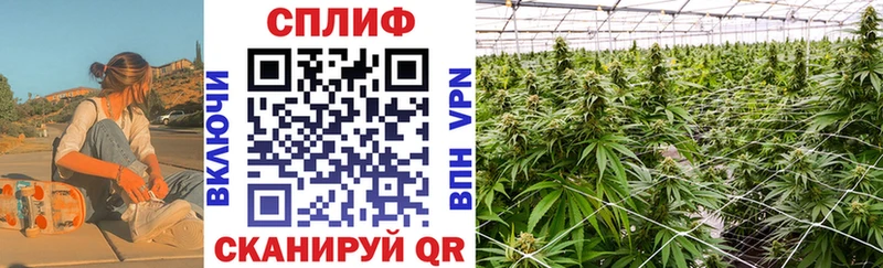 Купить наркотик Волгореченск Канабис Меф ГАШИШ