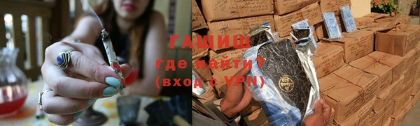 прущие грибы Белокуриха
