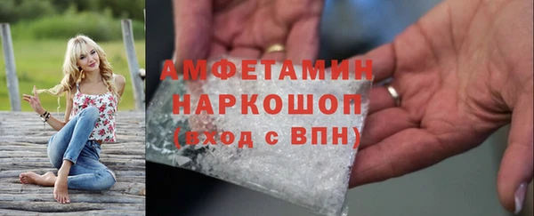 прущие грибы Белокуриха