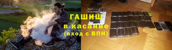прущие грибы Белокуриха