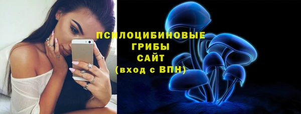 прущие грибы Белокуриха