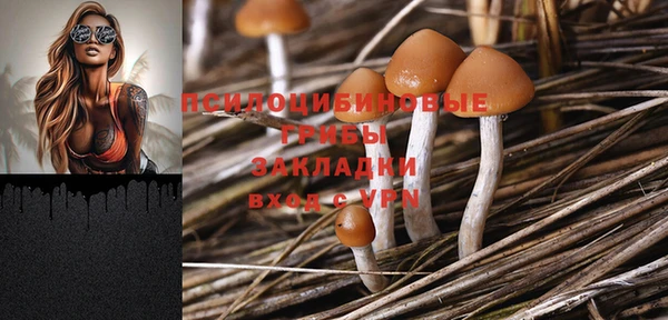соль ск Белоозёрский