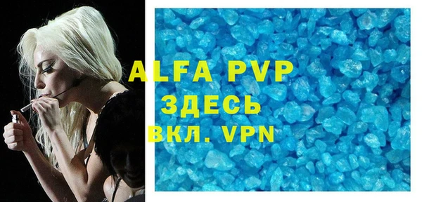 прущие грибы Белокуриха