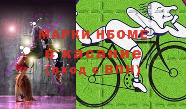 прущие грибы Белокуриха