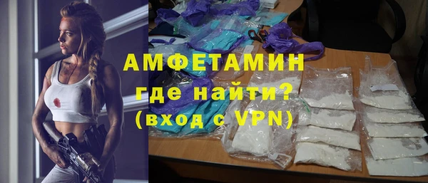 прущие грибы Белокуриха