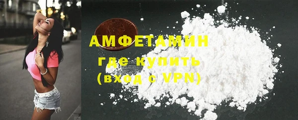 прущие грибы Белокуриха