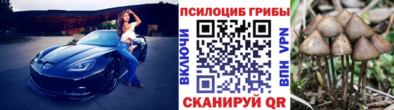 хочу наркоту  Волгореченск  Псилоцибиновые грибы мицелий 